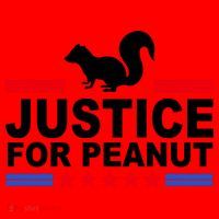 Justice For Peanut The Squirrel 2024 Santa Hat thumb 1