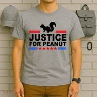 Justice For Peanut The Squirrel 2024 T-Shirt thumb 6