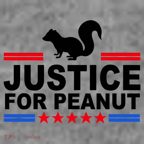Justice For Peanut The Squirrel 2024 Women's Hoodie