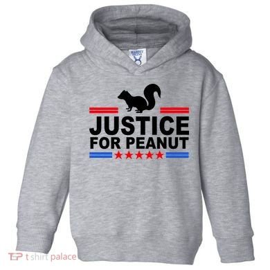 Justice For Peanut The Squirrel 2024 Toddler Hoodie