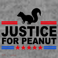 Justice For Peanut The Squirrel 2024 Toddler Hoodie thumb 2
