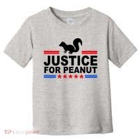 Justice For Peanut The Squirrel 2024 Toddler T-Shirt thumb 0