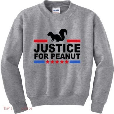 Justice For Peanut The Squirrel 2024 Kids Sweatshirt