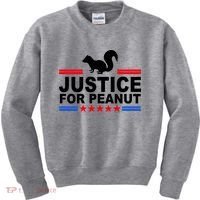 Justice For Peanut The Squirrel 2024 Kids Sweatshirt thumb 0