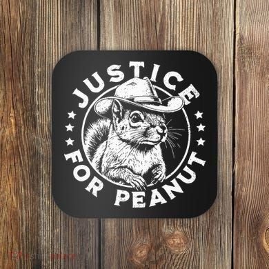 Justice For Peanut The Squirrel P’Nut Pnut Peanut Squirrel Coaster