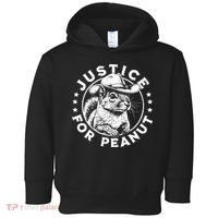 Justice For Peanut The Squirrel P’Nut Pnut Peanut Squirrel Toddler Hoodie thumb 0