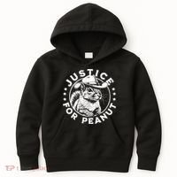 Justice For Peanut The Squirrel P’Nut Pnut Peanut Squirrel Kids Hoodie thumb 0