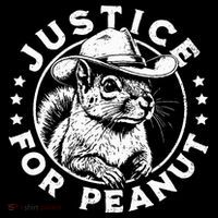 Justice For Peanut The Squirrel P’Nut Pnut Peanut Squirrel Kids Hoodie thumb 5