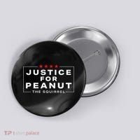 Justice For Peanut The Squirrel Peanut Squirrel Button thumb 0