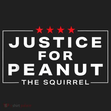 Justice For Peanut The Squirrel Peanut Squirrel Women's Dry Zone Grid Polo