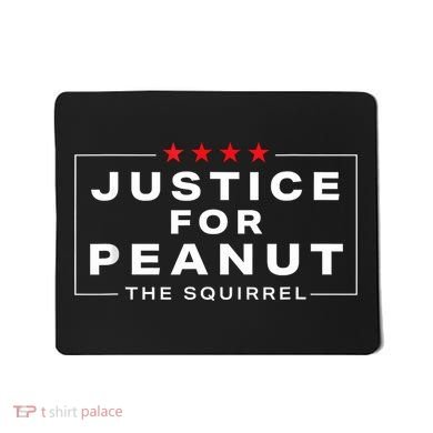Justice For Peanut The Squirrel Peanut Squirrel Mousepad