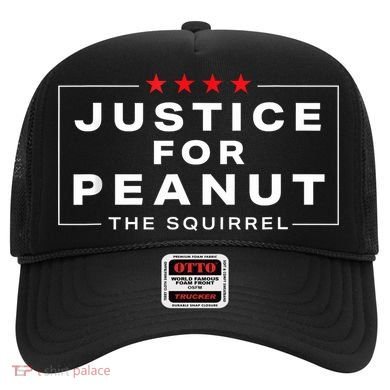 Justice For Peanut The Squirrel Peanut Squirrel Hat