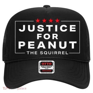 Justice For Peanut The Squirrel Peanut Squirrel Hat