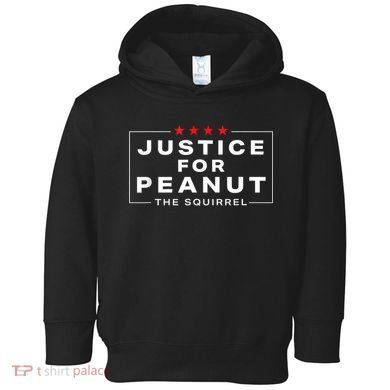 Justice For Peanut The Squirrel Peanut Squirrel Toddler Hoodie