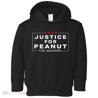 Justice For Peanut The Squirrel Peanut Squirrel Toddler Hoodie
