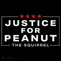 Justice For Peanut The Squirrel Peanut Squirrel Women's Long Sleeve Shirt thumb 2