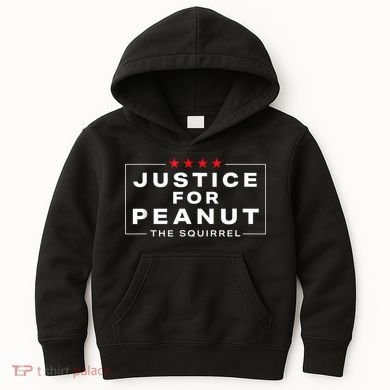 Justice For Peanut The Squirrel Peanut Squirrel Kids Hoodie