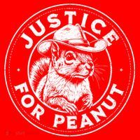 Justice For Peanut The Squirrel P’Nut Pnut Peanut Squirrel Gift Santa Hat thumb 1
