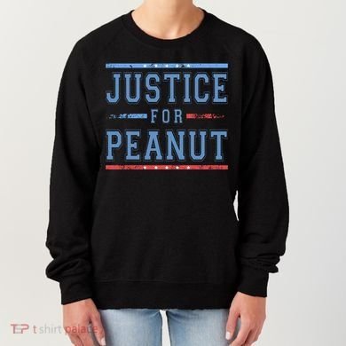 Justice For Peanut The Squirrel Usa Flag Women's Sweatshirt