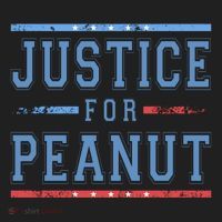 Justice For Peanut The Squirrel Usa Flag Women's Sweatshirt thumb 2