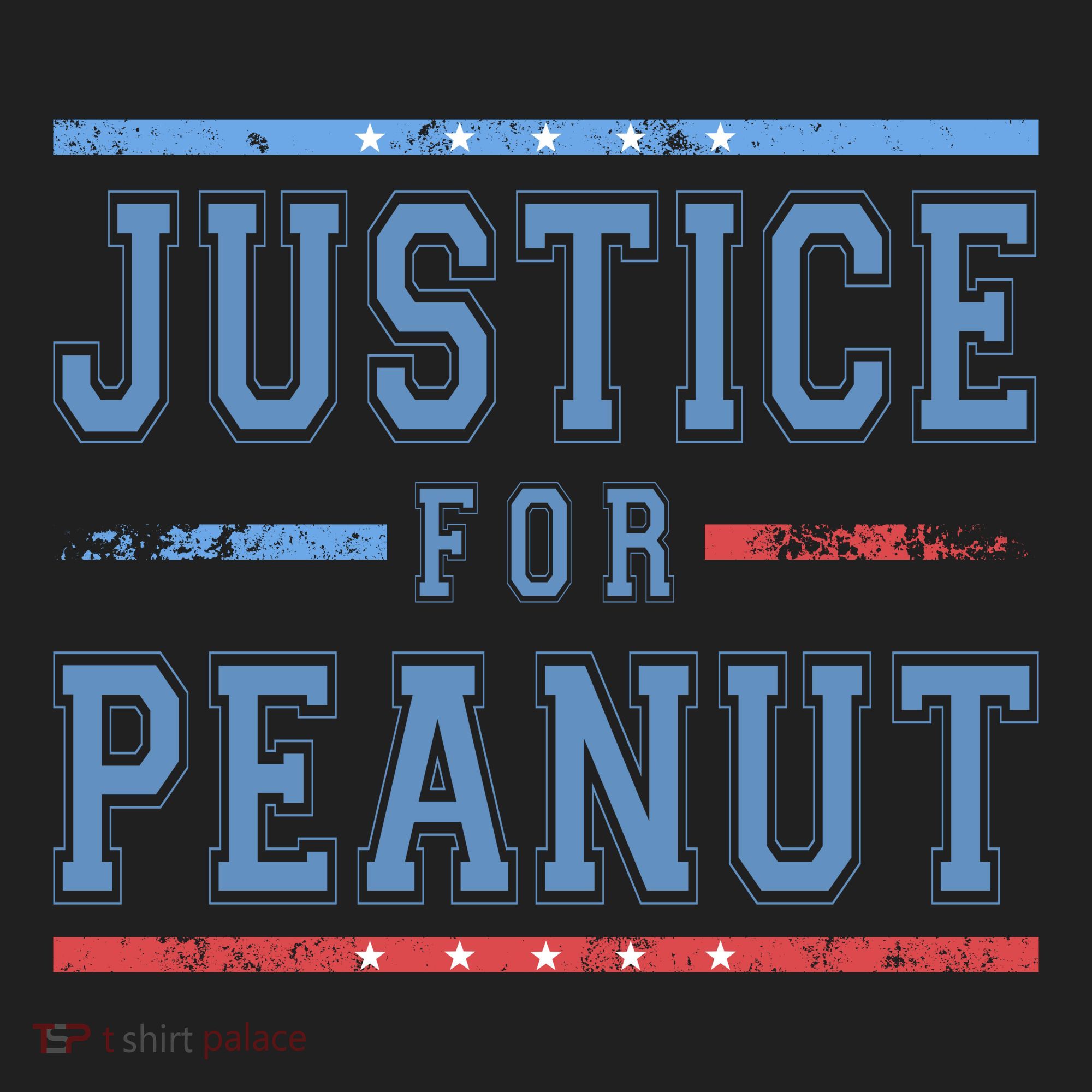 Justice For Peanut The Squirrel Usa Flag Women's Sweatshirt