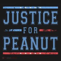 Justice For Peanut The Squirrel Usa Flag Backpack thumb 2