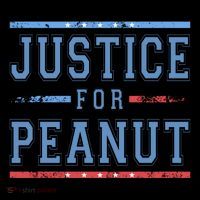 Justice For Peanut The Squirrel Usa Flag Toddler Hoodie thumb 2