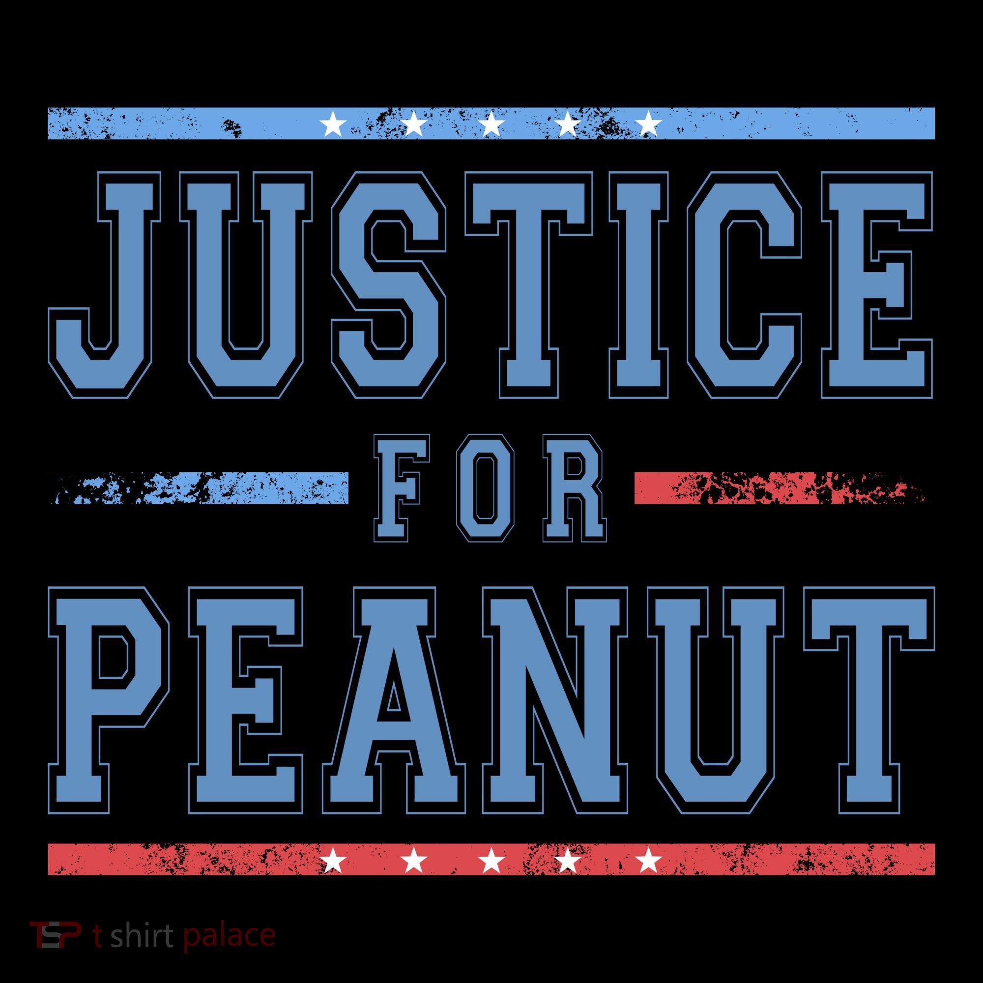 Justice For Peanut The Squirrel Usa Flag Toddler Hoodie