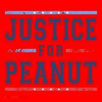 Justice For Peanut The Squirrel Usa Flag Santa Hat thumb 1