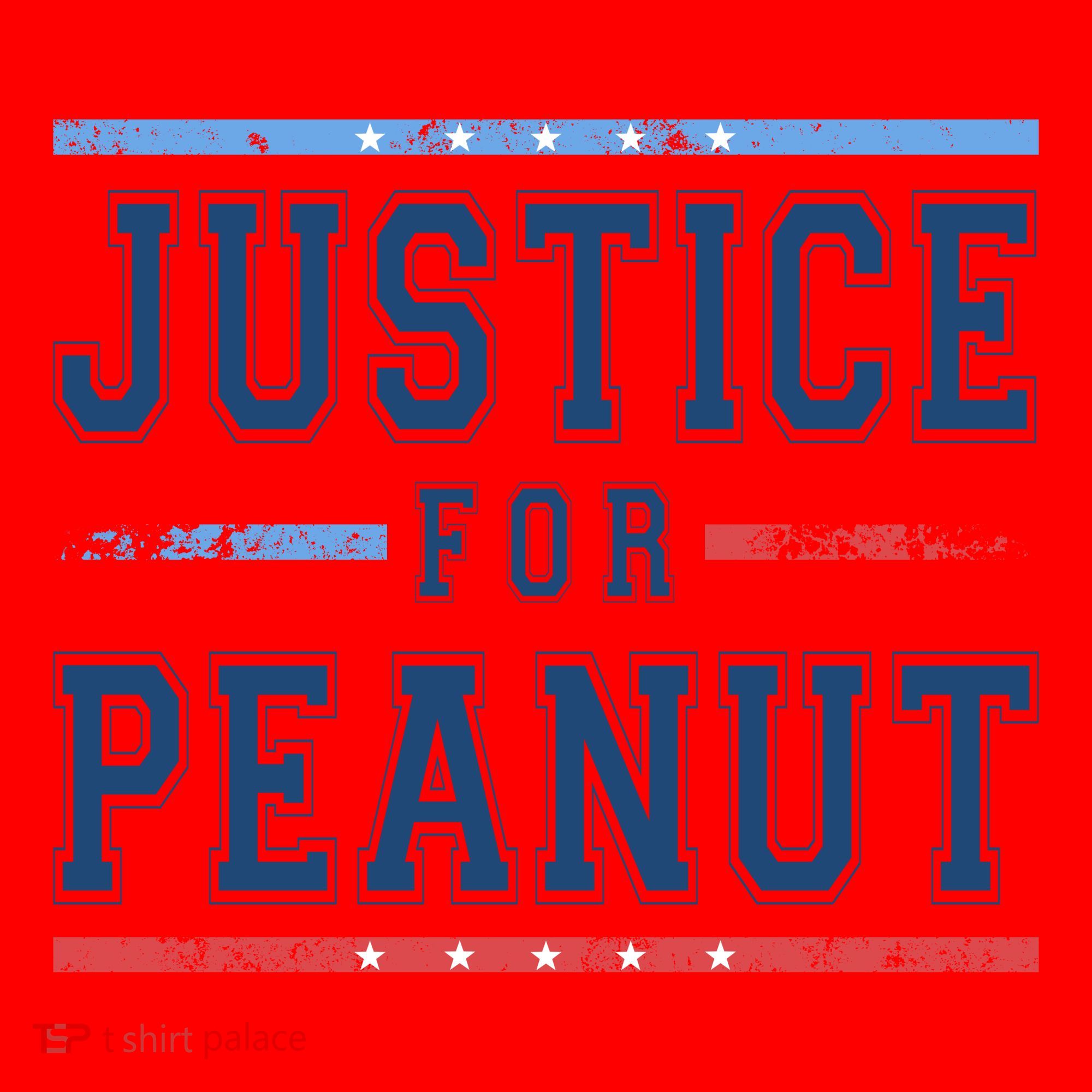 Justice For Peanut The Squirrel Usa Flag Santa Hat