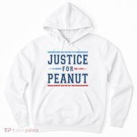 Justice For Peanut The Squirrel Usa Flag Hoodie thumb 0
