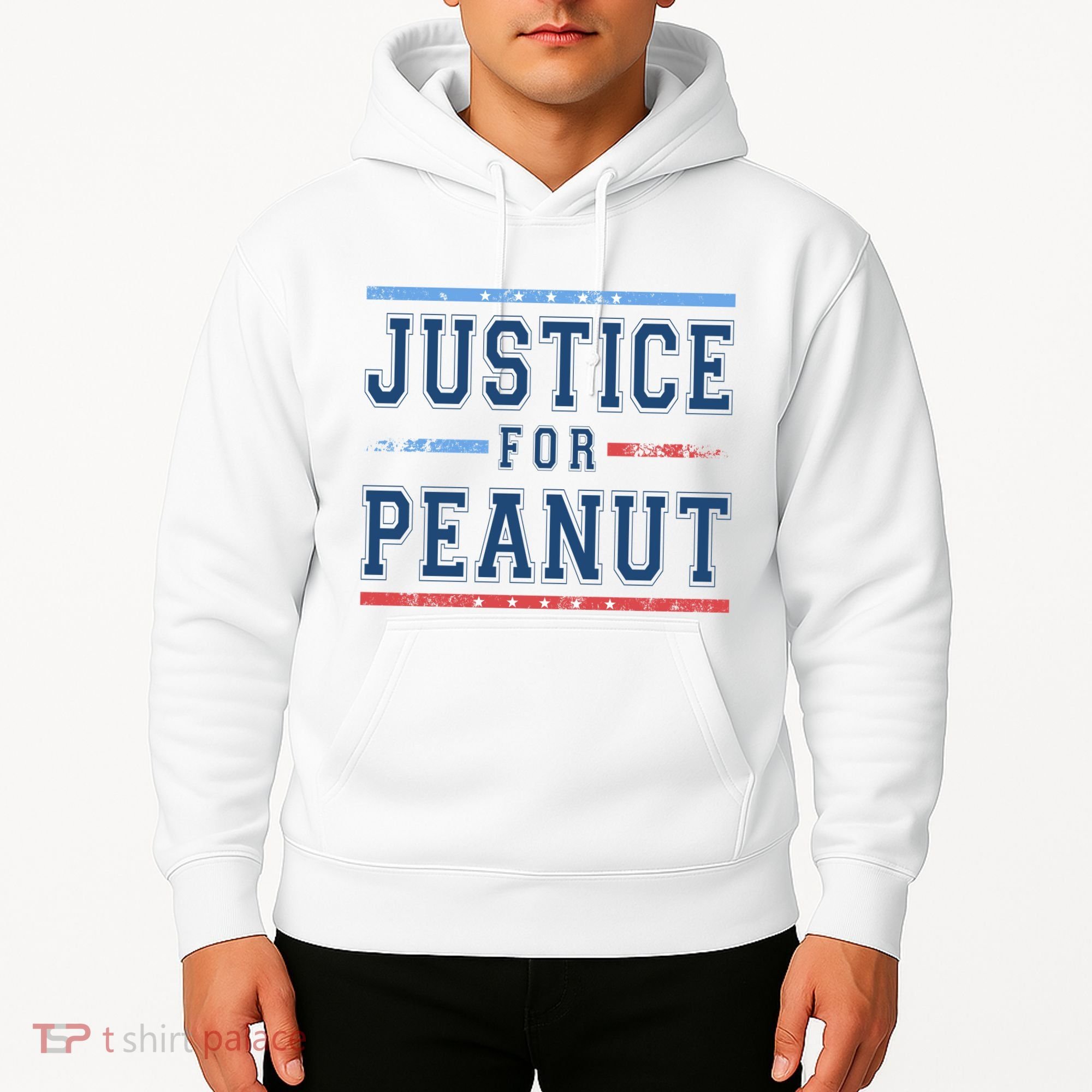 Justice For Peanut The Squirrel Usa Flag Hoodie