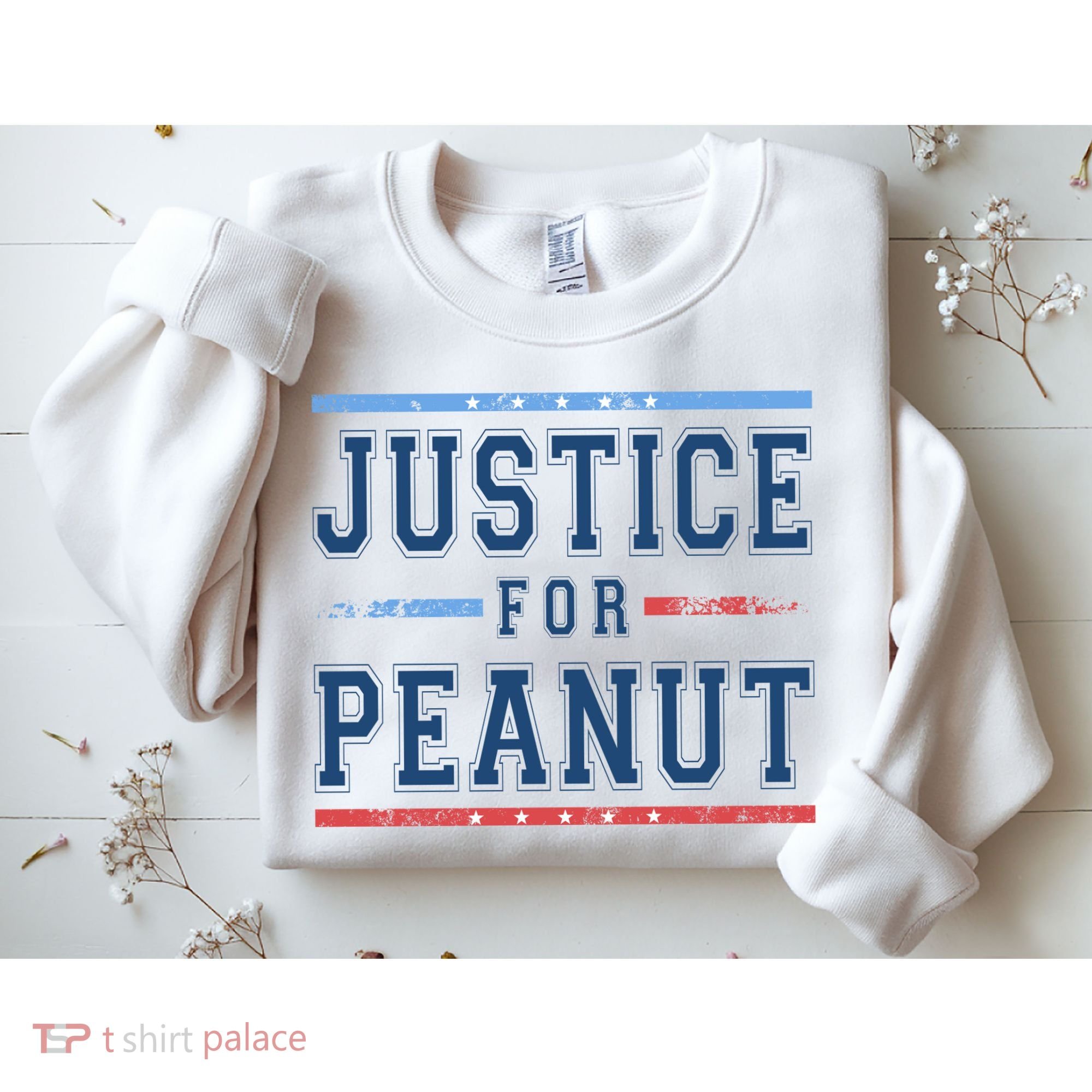 Justice For Peanut The Squirrel Usa Flag Sweatshirt