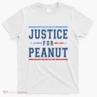 Justice For Peanut The Squirrel Usa Flag T-Shirt thumb 0