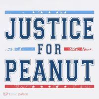Justice For Peanut The Squirrel Usa Flag Women's Hoodie thumb 2