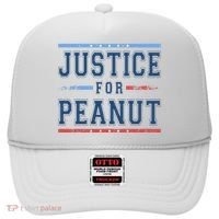 Justice For Peanut The Squirrel Usa Flag Hat thumb 0