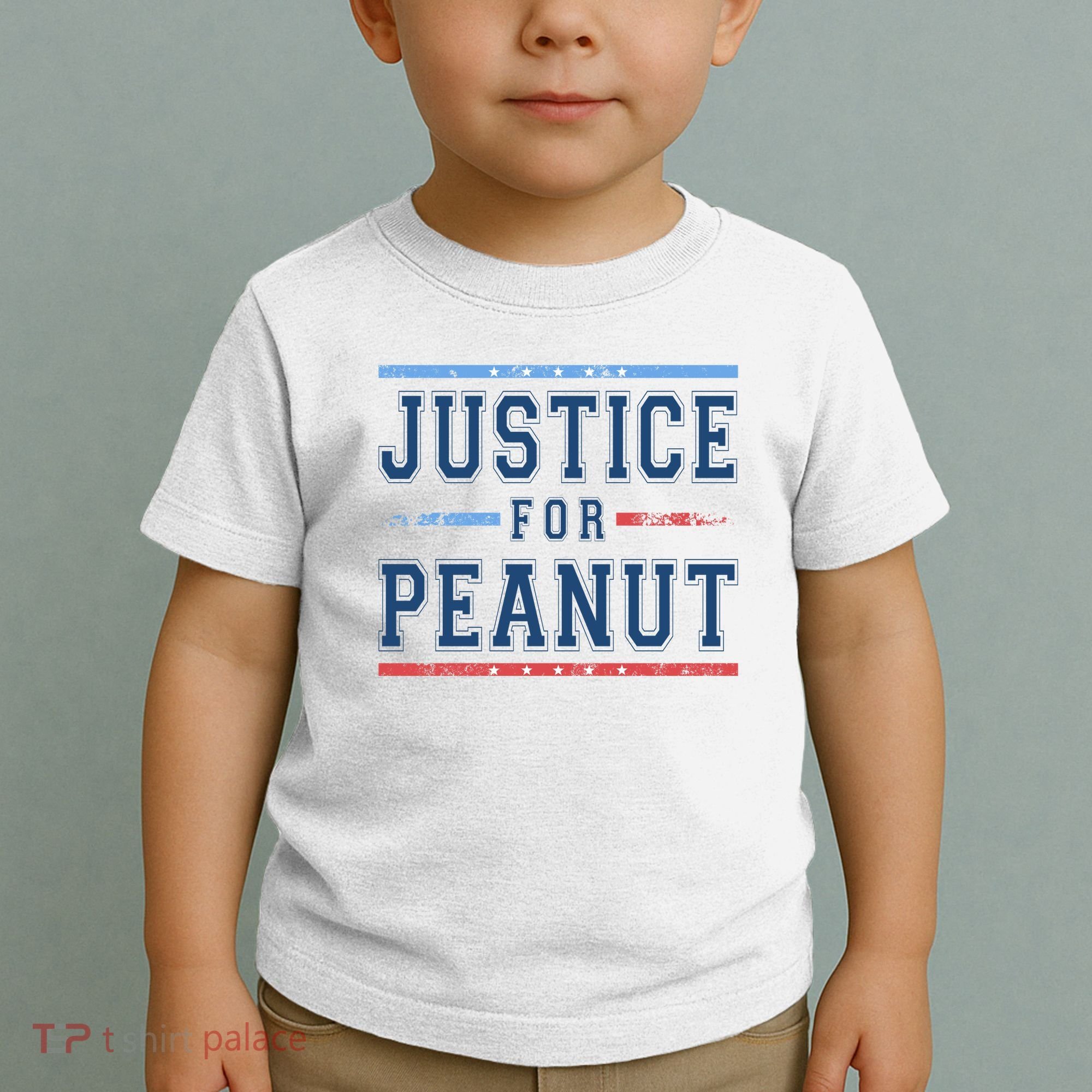 Justice For Peanut The Squirrel Usa Flag Toddler T-Shirt