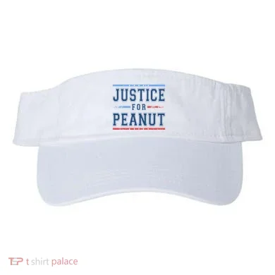 Visor