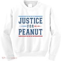 Justice For Peanut The Squirrel Usa Flag Kids Sweatshirt thumb 0