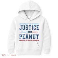Justice For Peanut The Squirrel Usa Flag Kids Hoodie thumb 0