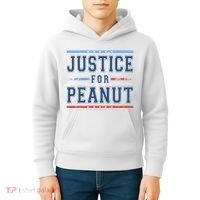 Justice For Peanut The Squirrel Usa Flag Kids Hoodie thumb 4