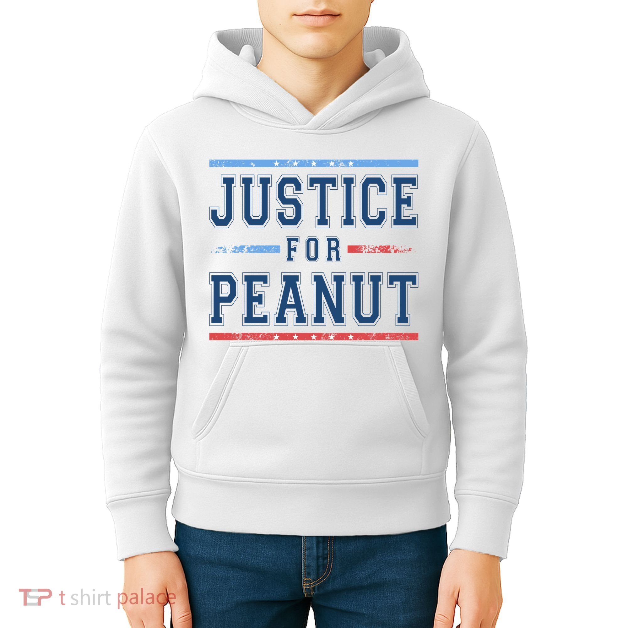 Justice For Peanut The Squirrel Usa Flag Kids Hoodie