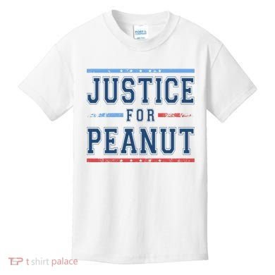 Justice For Peanut The Squirrel Usa Flag Kids T-Shirt