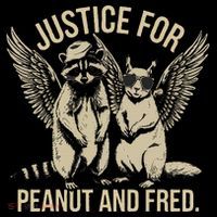 Justice For Peanut And Fred Peanut Squirrel Fred Raccoon Gift Coffee Mug thumb 5