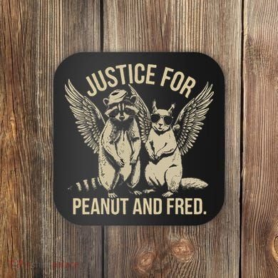 Justice For Peanut And Fred Peanut Squirrel Fred Raccoon Gift Coaster