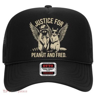 Justice For Peanut And Fred Peanut Squirrel Fred Raccoon Gift Hat