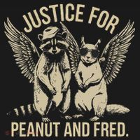 Justice For Peanut And Fred Peanut Squirrel Fred Raccoon Gift Kids T-Shirt thumb 4