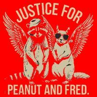 Justice For Peanut And Fred Peanut Squirrel Fred Raccoon Gift Santa Hat thumb 1