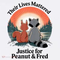 Justice For Peanut The Squirrel Justice For Fred The Raccoon Women's Tank Top thumb 5