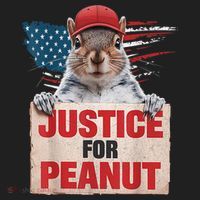 Justice For Peanut The Squirrel American Flag Peanut Squirrel Gift Women's Sweatshirt thumb 2
